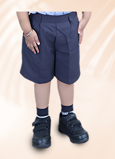 AMITY INTERNATIONAL SCHOOL